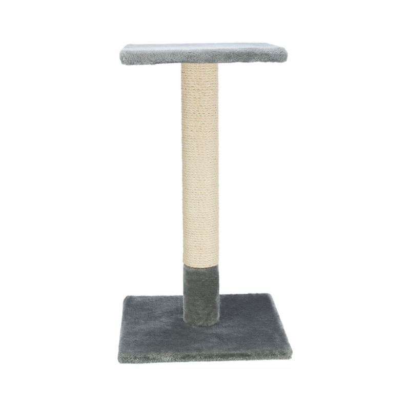 Трикси "Баэна" Когтерез - Кошки - Фото 2